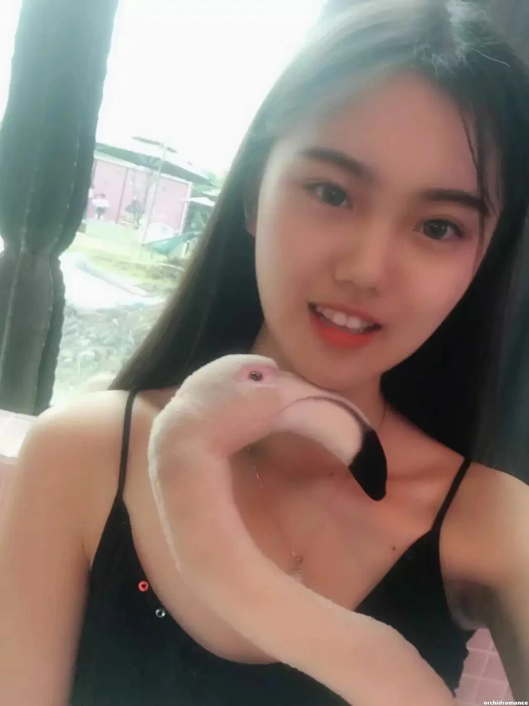 Lily Profile image 3